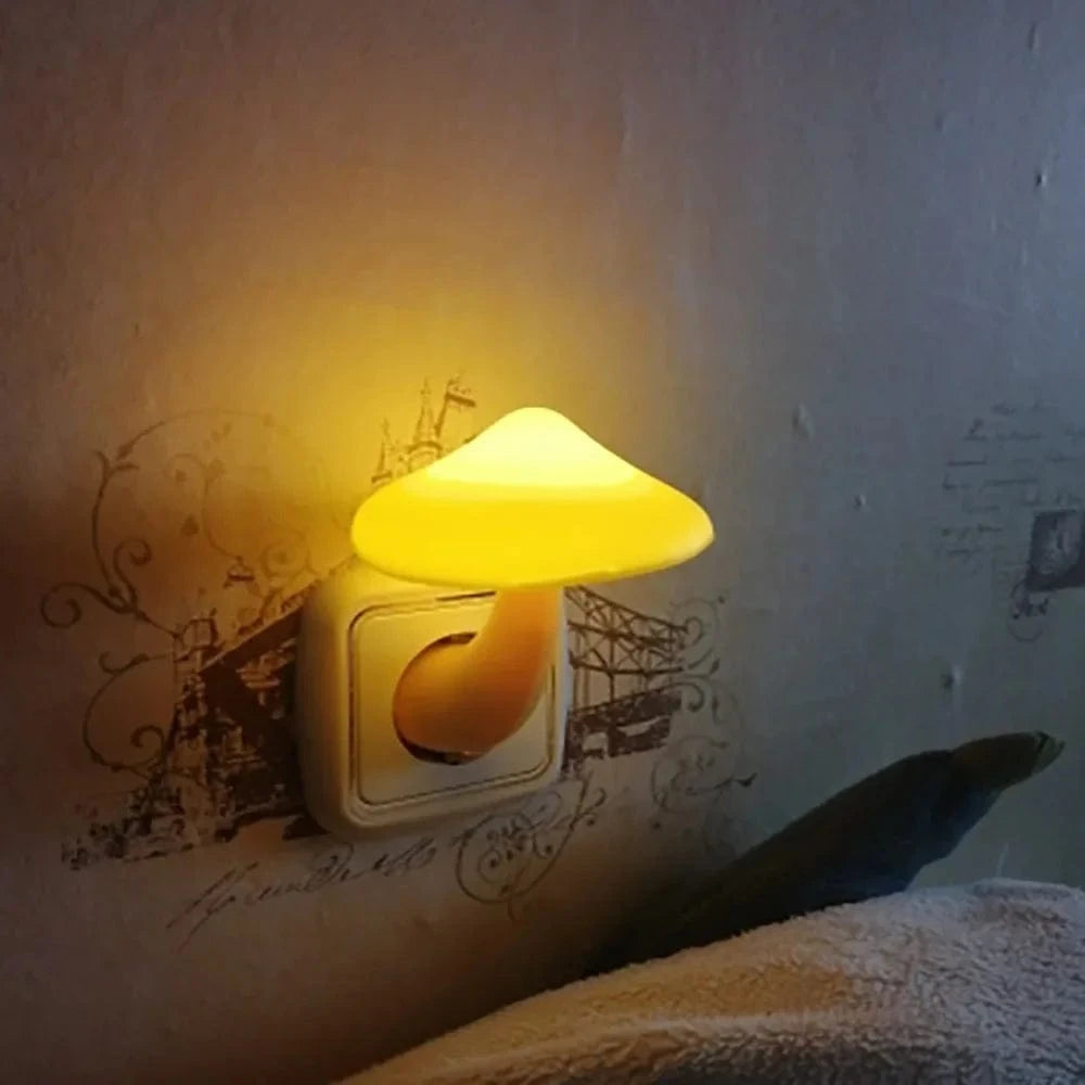 lumière champignon apaisante