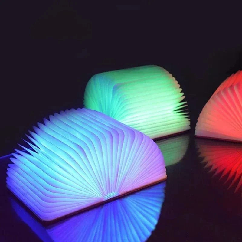 Lumière modulable livre