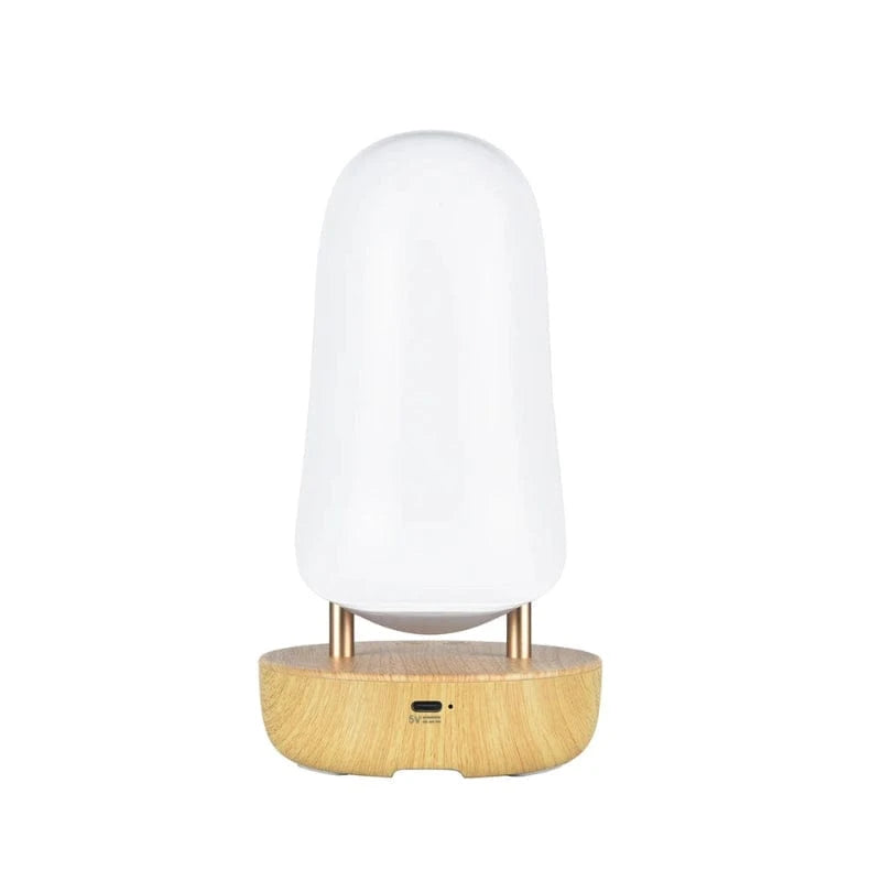 Enceinte toucan Bluetooth