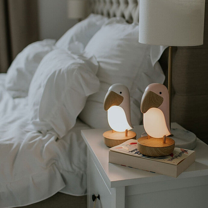 Lumière douce toucan